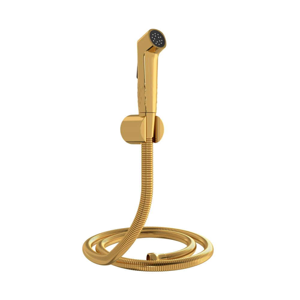 IBEY Gold health faucet set, supplier catalog image 2